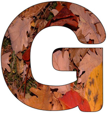 Herbstbuchstabe-G.jpg